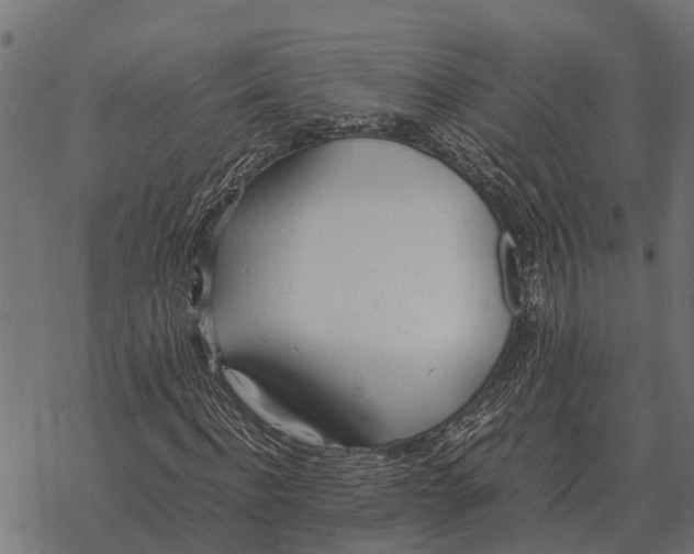 X0000067950916200605041822