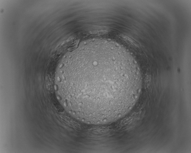 X0000067950917200605041822