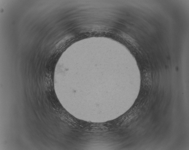 X0000067950918200605041822