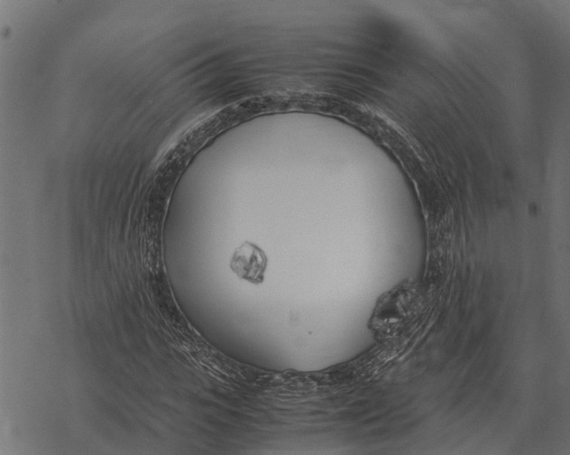 X0000067950919200605041822