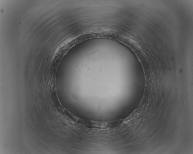 X0000067950920200605041822