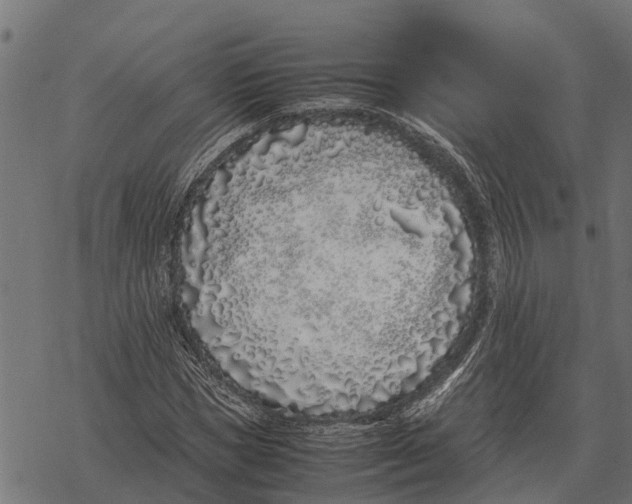 X0000067950921200605041822