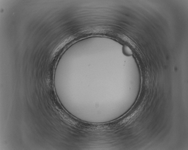 X0000067950922200605041822