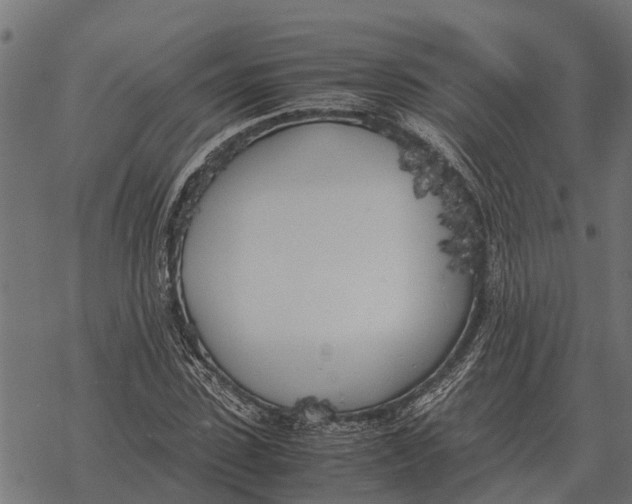 X0000067950923200605041822