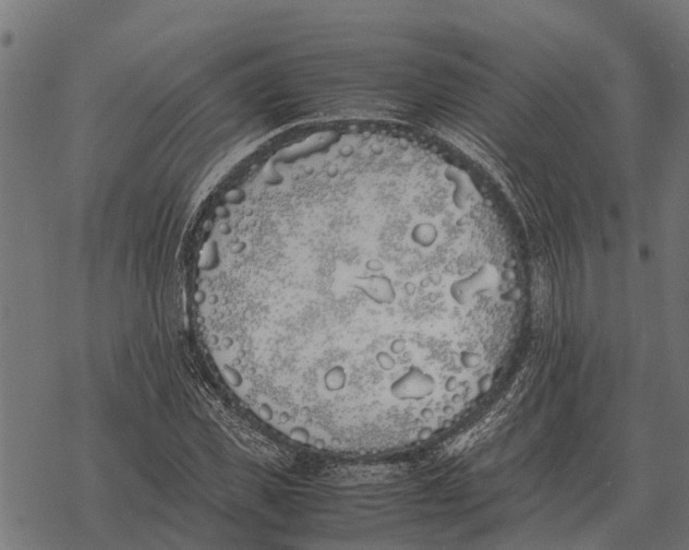 X0000067950925200605041822