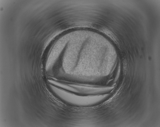 X0000067950926200605041822