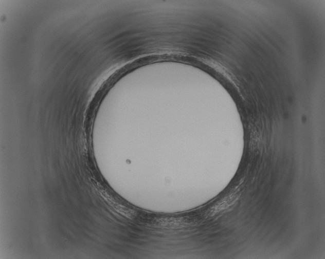 X0000067950927200605041822