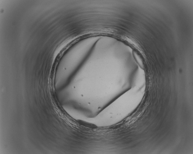 X0000067950928200605041822