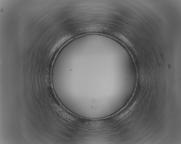 X0000067950930200605041822