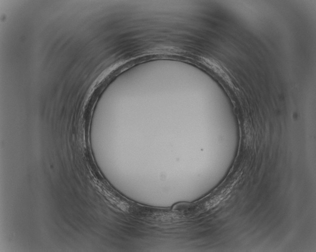 X0000067950931200605041822