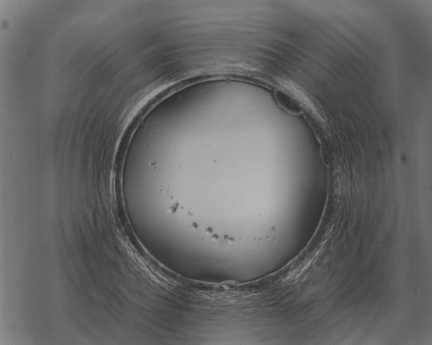 X0000067950932200605041822