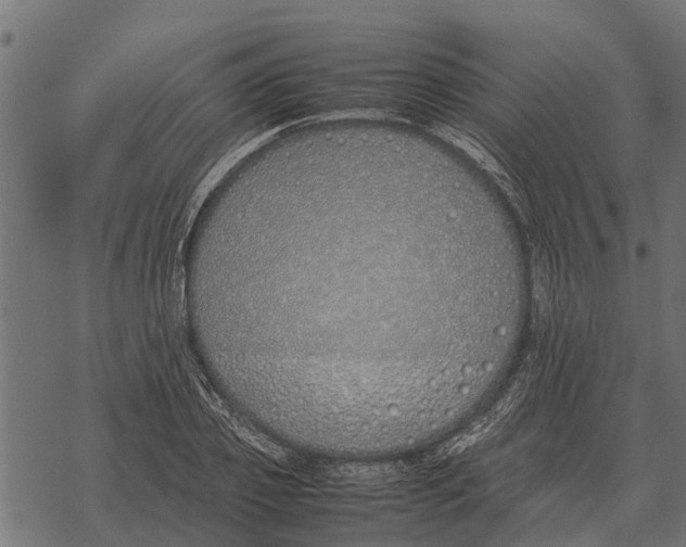 X0000067950933200605041822