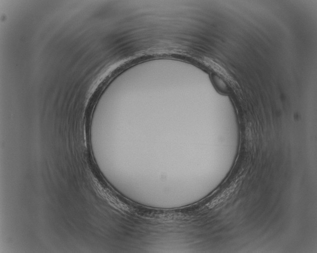 X0000067950934200605041822