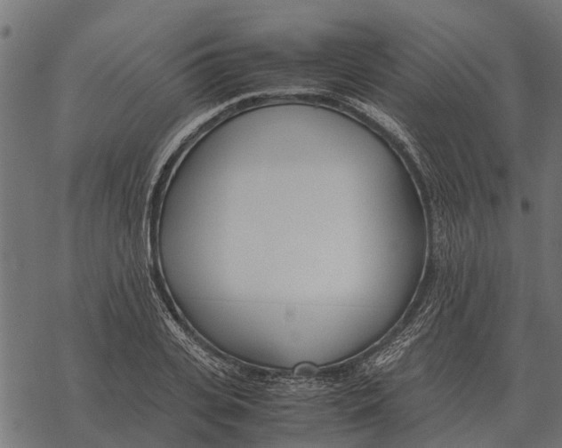 X0000067950935200605041822