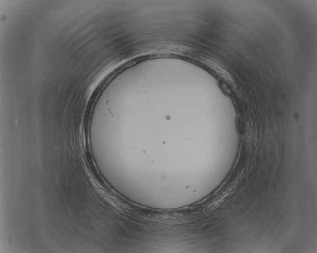 X0000067950936200605041822