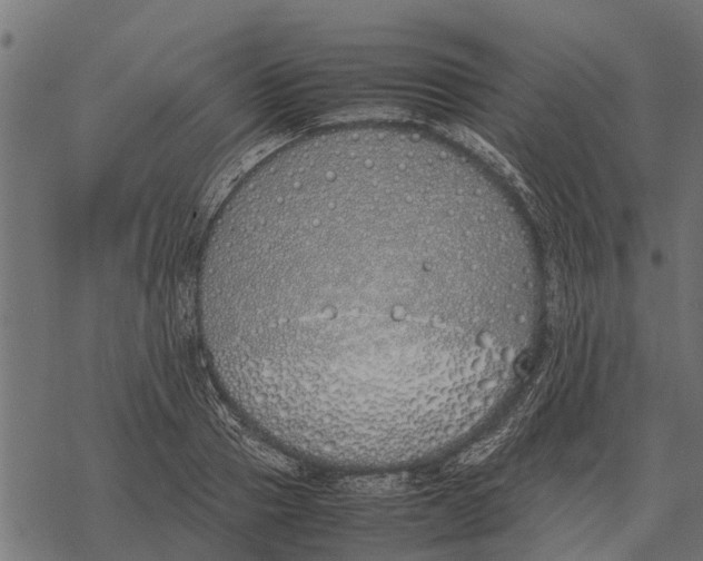 X0000067950937200605041822