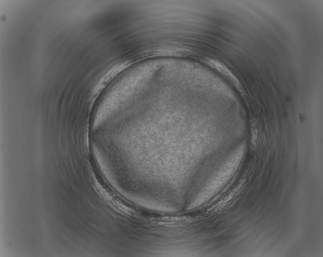 X0000067950938200605041822