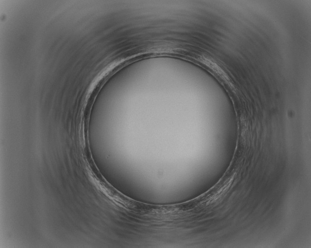 X0000067950939200605041822