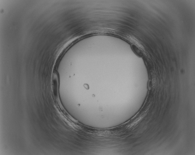 X0000067950940200605041822