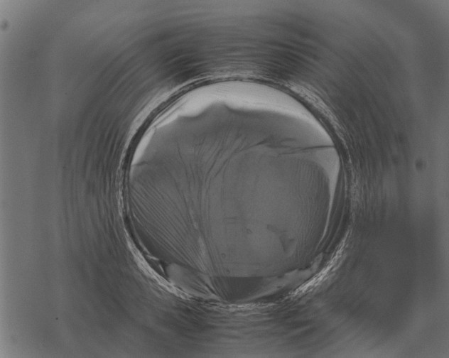 X0000067950941200605041822