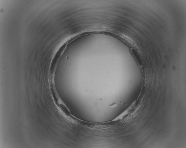 X0000067950942200605041822