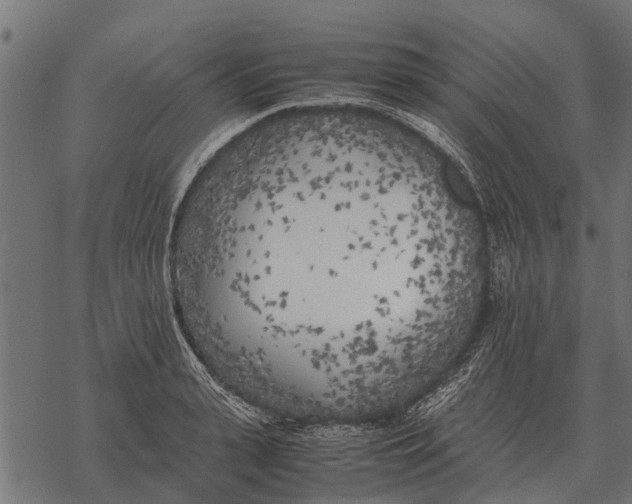 X0000067950943200605041822