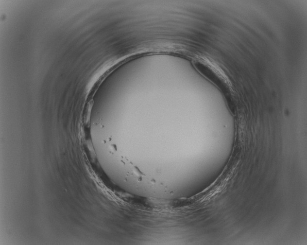 X0000067950944200605041822