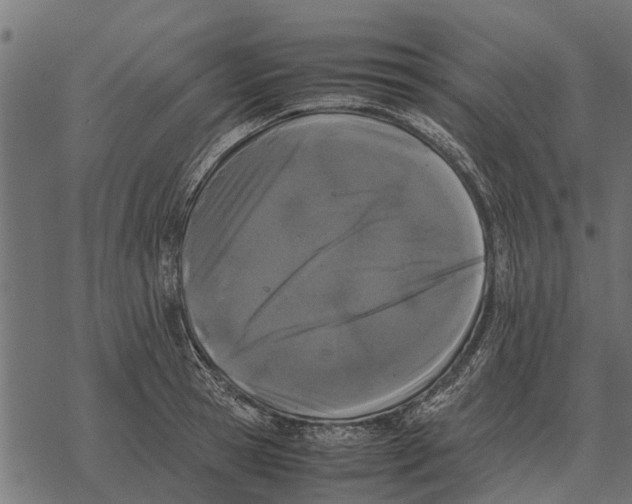 X0000067950945200605041822