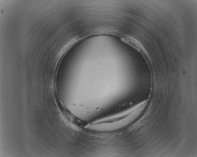 X0000067950946200605041822