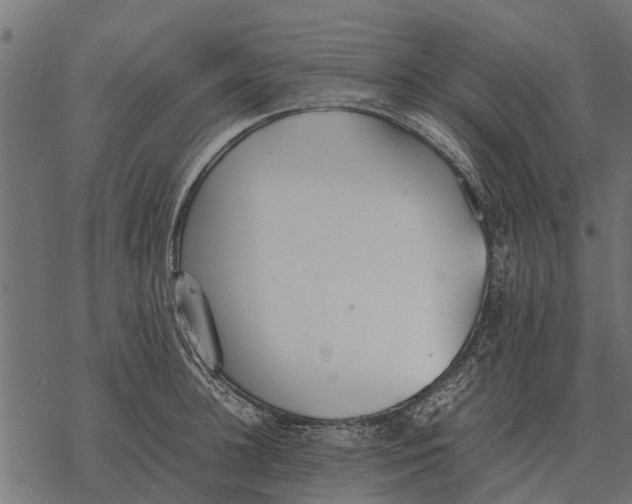 X0000067950948200605041822