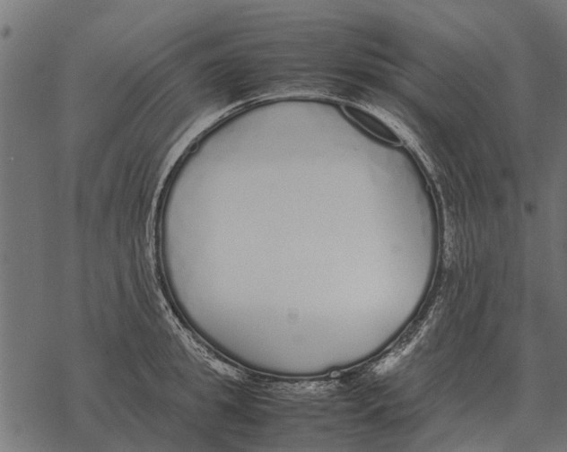 X0000067950949200605041822