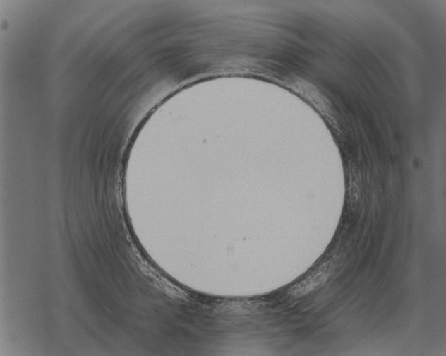 X0000067950950200605041822