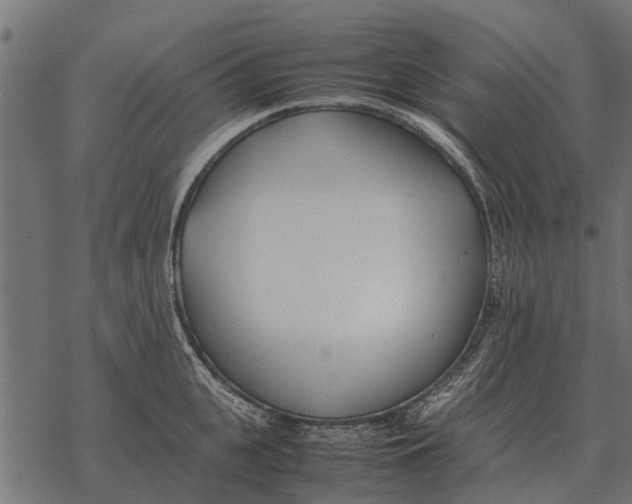 X0000067950951200605041822