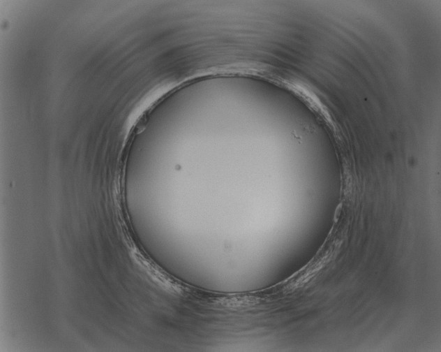 X0000067950952200605041822