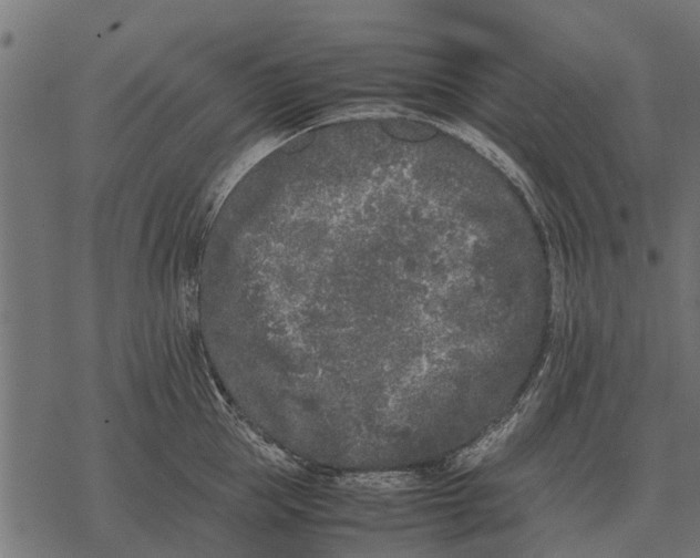 X0000067950953200605041822