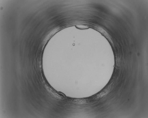 X0000067950954200605041822