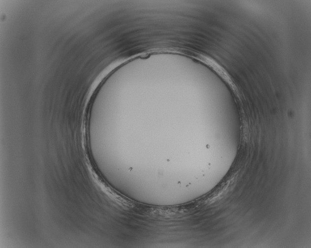 X0000067950955200605041822