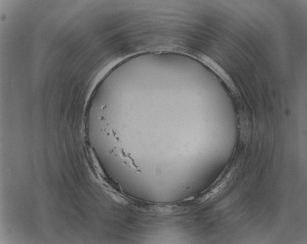 X0000067950956200605041822