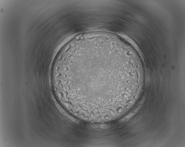 X0000067950957200605041822