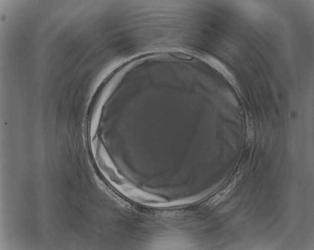 X0000067950958200605041822