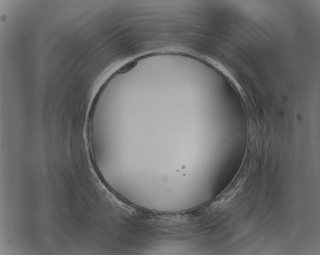 X0000067950959200605041822