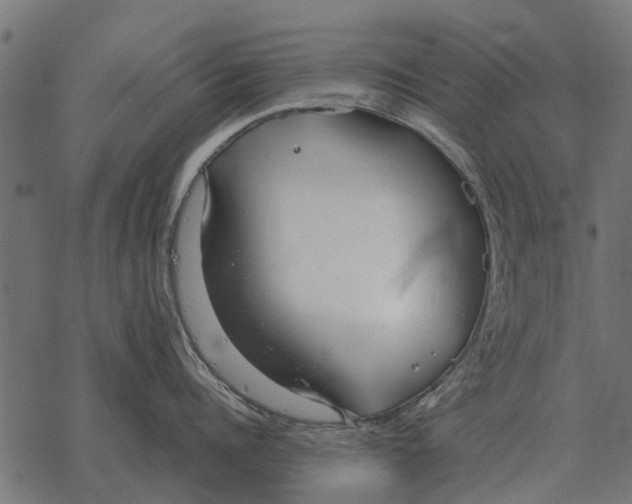 X0000067950960200605041822