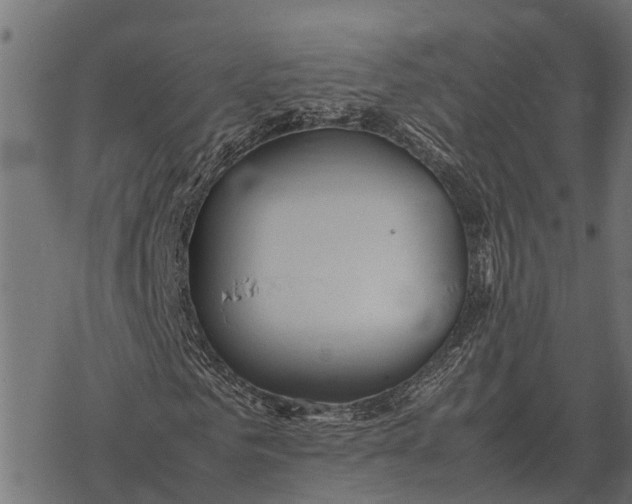 X0000067950961200605041822