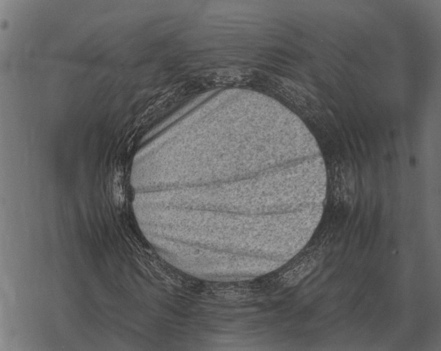 X0000067950962200605041822