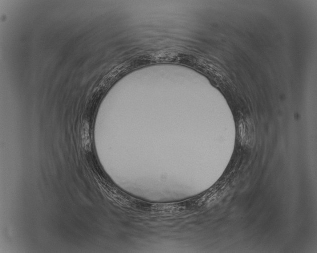 X0000067950963200605041822