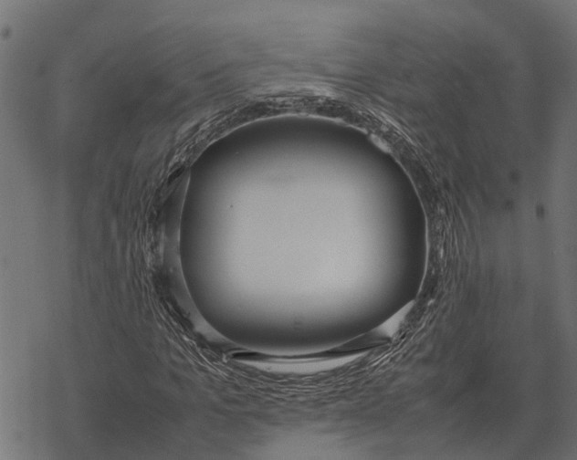 X0000067950965200605041822