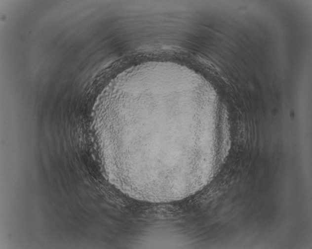 X0000067950966200605041821