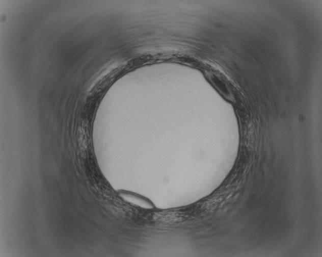 X0000067950967200605041821