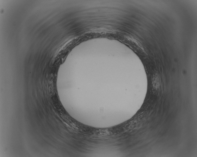 X0000067950968200605041821