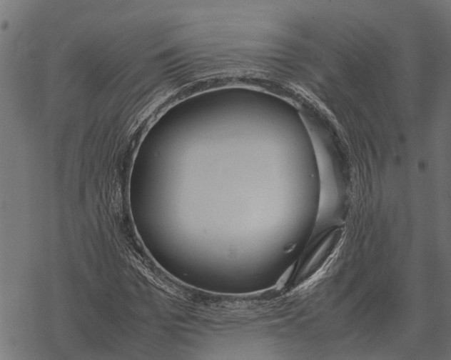 X0000067950969200605041821